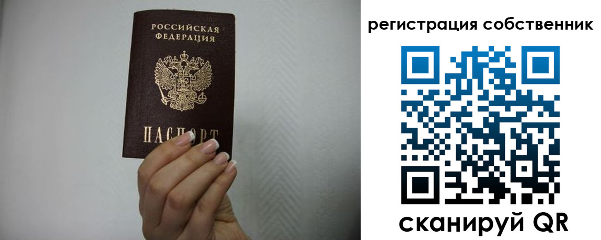 регистрация для дет. сада в Мурино